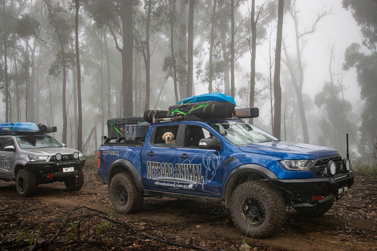 Offroad Animal Scout Roof Rack- Ford Ranger, Raptor Ranger PX1-3, BT50 2011-2022